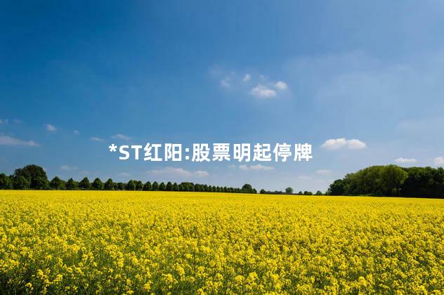 *ST红阳:股票明起停牌