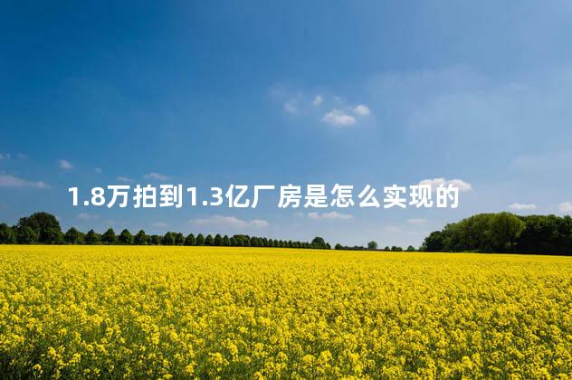 1.8万拍到1.3亿厂房是怎么实现的