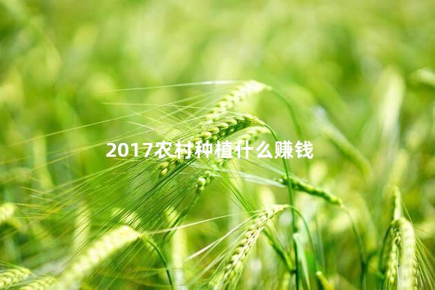 2017农村种植什么赚钱