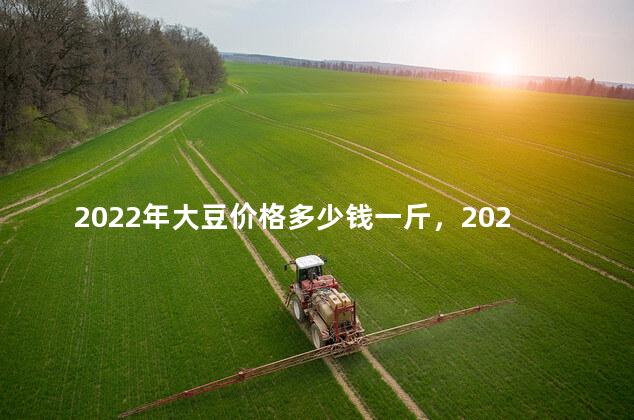 2022年大豆价格多少钱一斤，2022至2023黄豆价格会落价吗