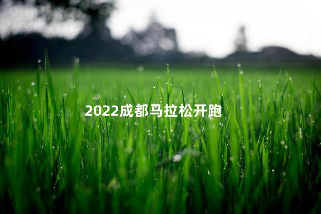 2022成都马拉松开跑