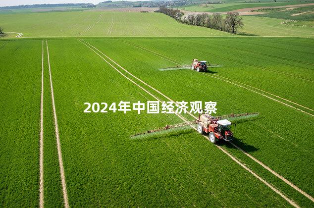 2024年中国经济观察