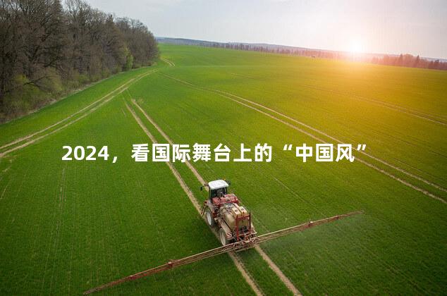 2024，看国际舞台上的“中国风”