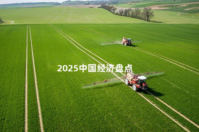 2025中国经济盘点