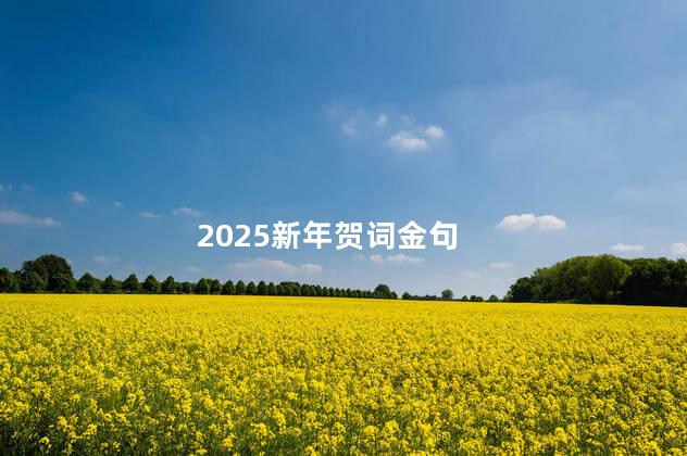 2025新年贺词金句