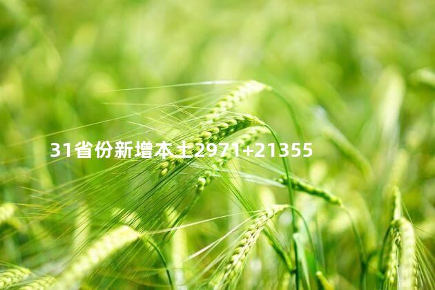 31省份新增本土2971+21355,31省份新增本土确诊病例