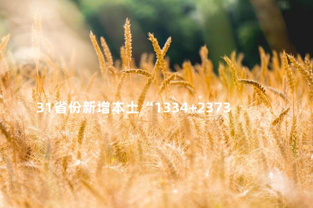 31省份新增本土“1334+23737”，31省份新增本土确诊病例
