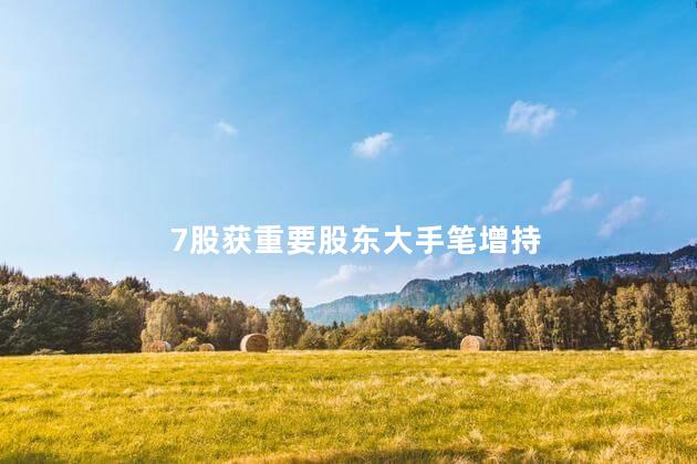 7股获重要股东大手笔增持