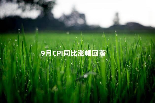 9月CPI同比涨幅回落