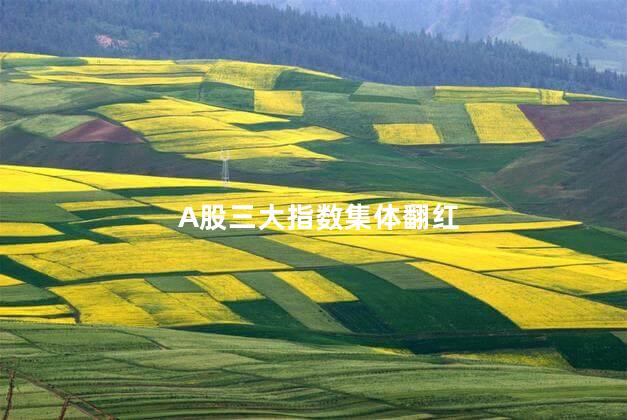 A股三大指数集体翻红
