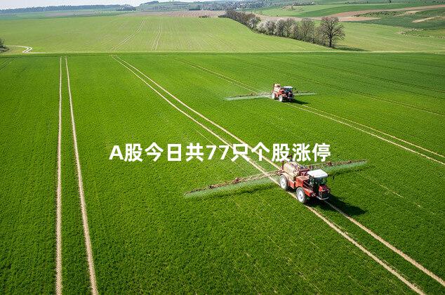 A股今日共77只个股涨停
