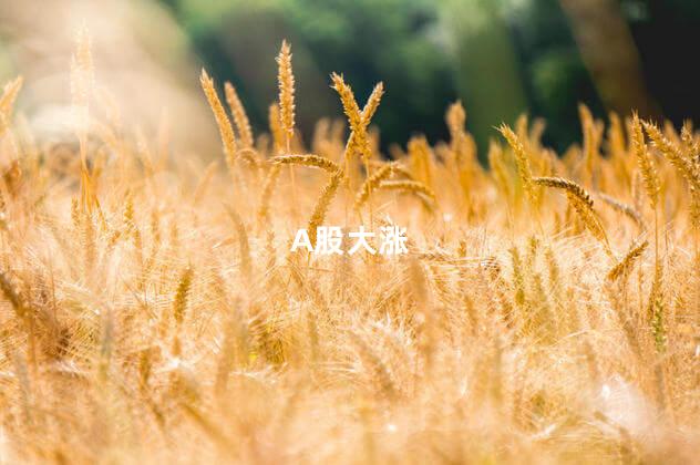 A股大涨
