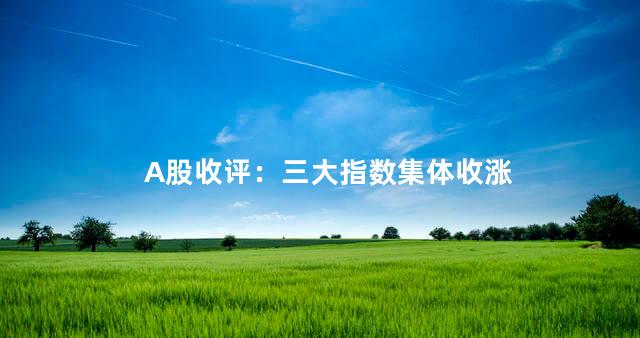 A股收评：三大指数集体收涨