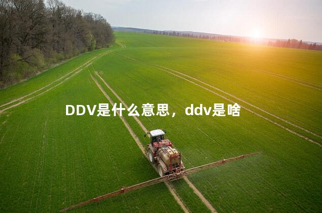 DDV是什么意思，ddv是啥