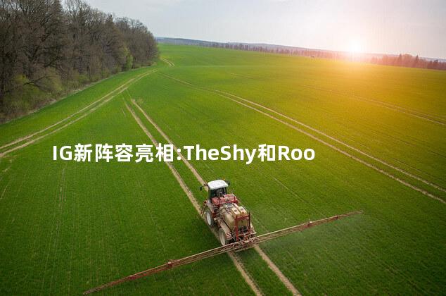 IG新阵容亮相:TheShy和Rookie回归