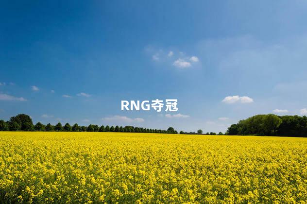 RNG夺冠