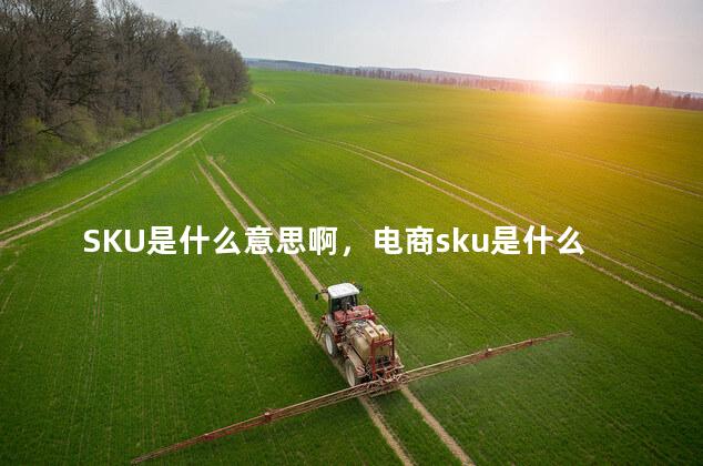 SKU是什么意思啊，电商sku是什么意思啊