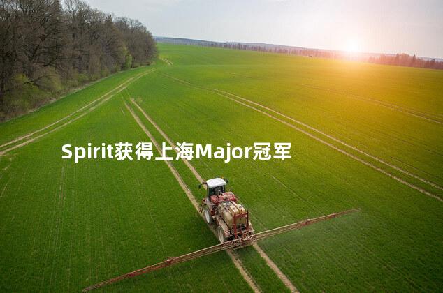 Spirit获得上海Major冠军