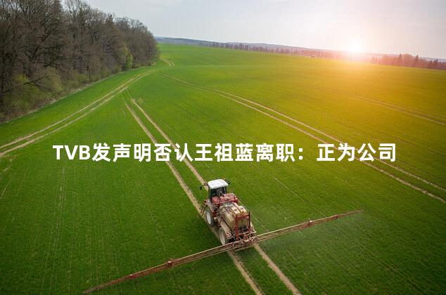 TVB发声明否认王祖蓝离职：正为公司在内地进行节目制作