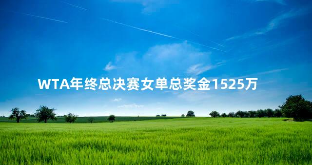 WTA年终总决赛女单总奖金1525万美元
