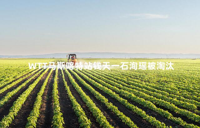 WTT马斯喀特站钱天一石洵瑶被淘汰