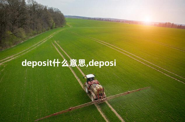 deposit什么意思,deposit是可数名词吗