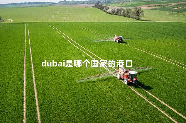 dubai是哪个国家的港口