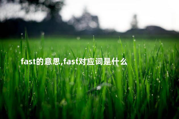 fast的意思,fast对应词是什么英语