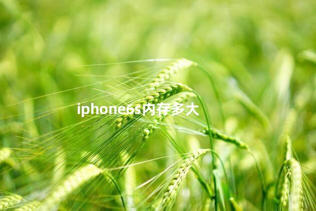 iphone6s内存多大