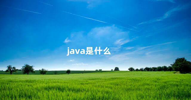java是什么 java是什么专业