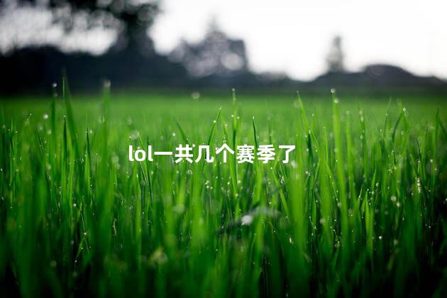 lol一共几个赛季了