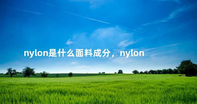 nylon是什么面料成分，nylon是什么面料成分是什么面料