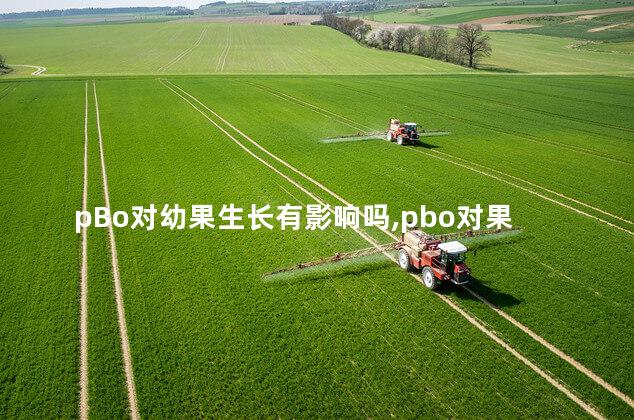 pBo对幼果生长有影响吗,pbo对果树的作用