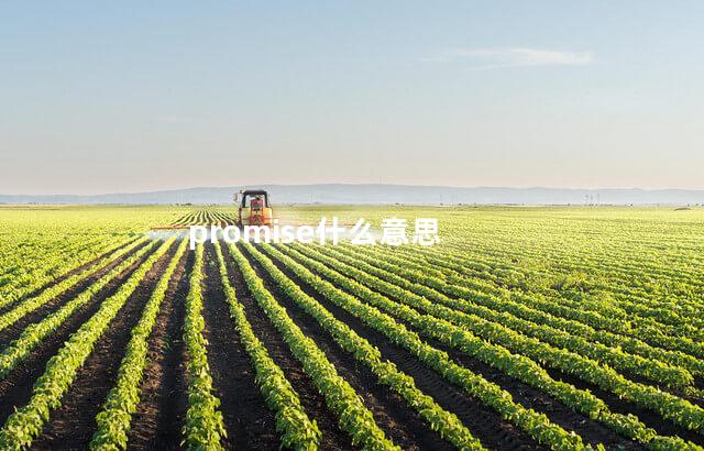 promise什么意思