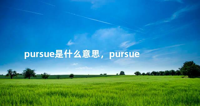 pursue是什么意思，pursue的形容词是什么