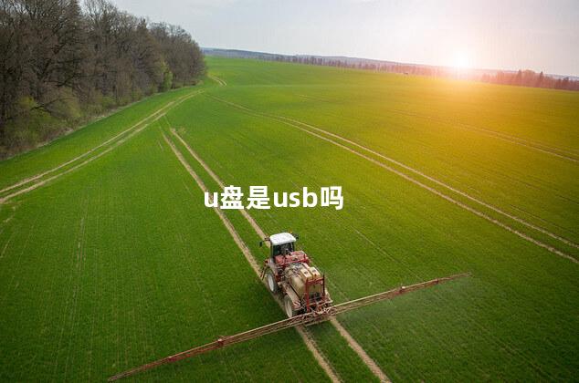 u盘是usb吗