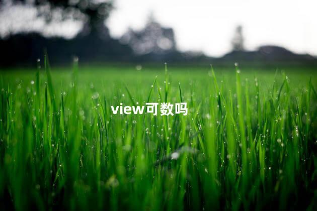 view可数吗