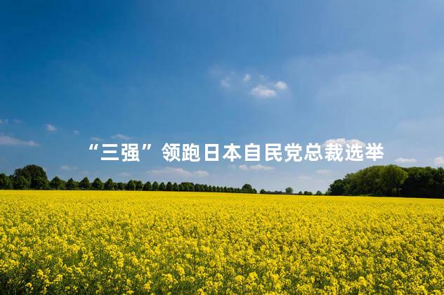 “三强”领跑日本自民党总裁选举