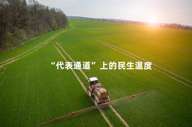 “代表通道”上的民生温度