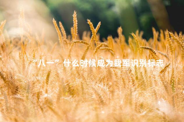“八一”什么时候成为我军识别标志