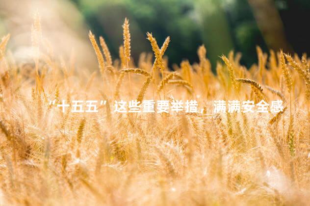 “十五五”这些重要举措，满满安全感