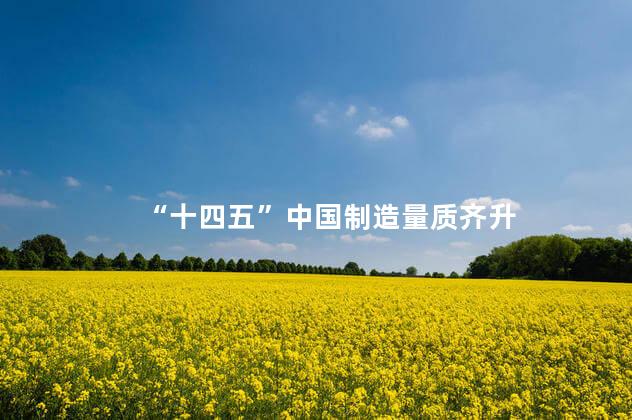 “十四五”中国制造量质齐升
