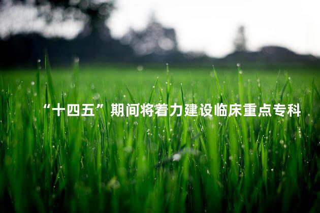 “十四五”期间将着力建设临床重点专科群