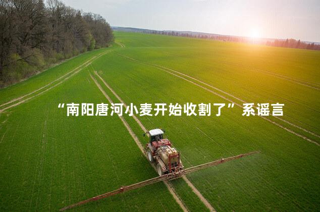 “南阳唐河小麦开始收割了”系谣言