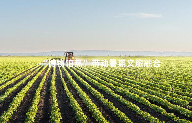 “博物馆热”带动暑期文旅融合