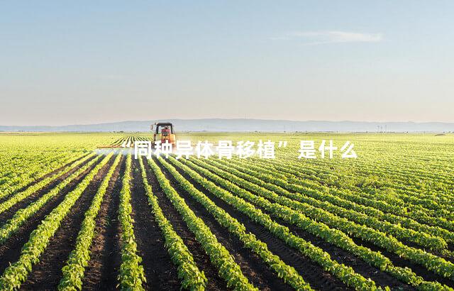 “同种异体骨移植”是什么