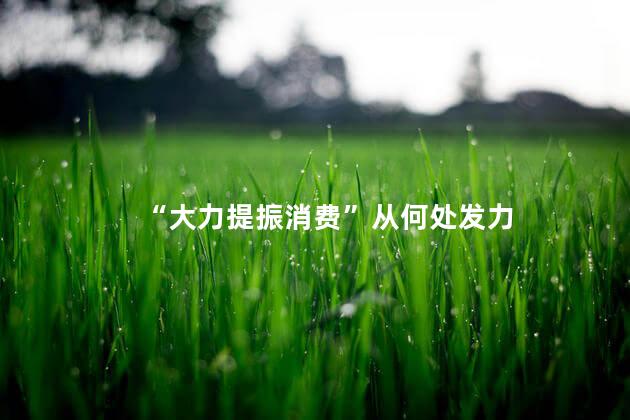 “大力提振消费”从何处发力