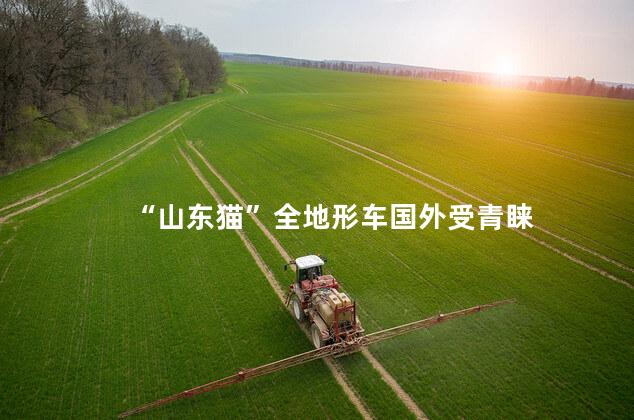 “山东猫”全地形车国外受青睐