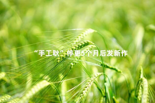 “手工耿”停更5个月后发新作