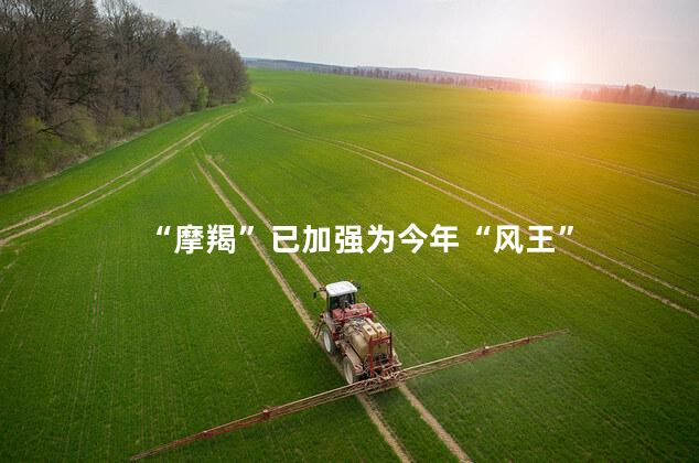 “摩羯”已加强为今年“风王”